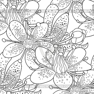 Seamless pattern coloring flower of Saxifrage - vector clipart