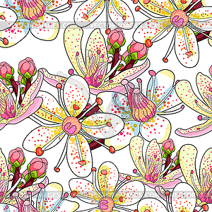 Seamless pattern flower of Saxifrage urbrosa. illust - vector clip art