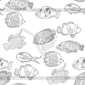 Coloring seamless pattern red sea fish Arabian - white & black vector clipart