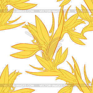 Seamless pattern strelitzia bird of paradise flower - vector clipart