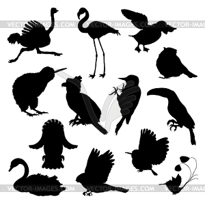 Набор страуса, фламинго, тоди, совы, тукана, - черно-белый векторный клипарт