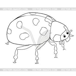 Coloring is ladybug insect nature - vector clipart