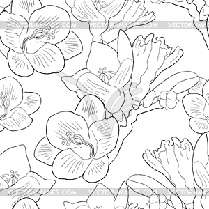 Seamless pattern flower freesia kind of iris - vector clip art