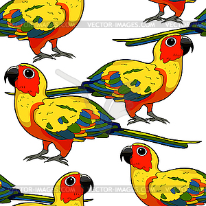 Seamless pattern Sun Parakeet parrot brazil. - vector clip art