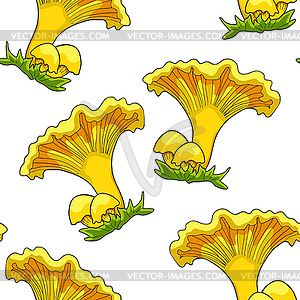 Seamless pattern is natural chanterelle mushrooms. - vector image