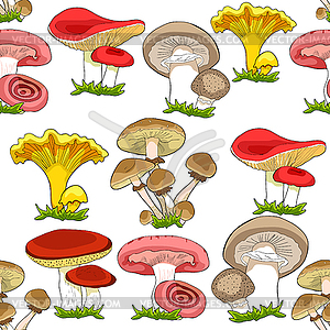 Seamless pattern mushrooms russula, chanterelle, - vector image