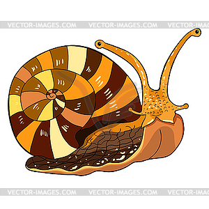 Insect snail gastropod mollusk - vector clipart / vector image