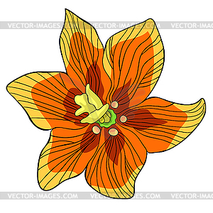 Цветочная ратуша Fritillaria imperialis - векторизованное изображение клипарта