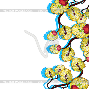 Willow yellow branch flower spring - vector image