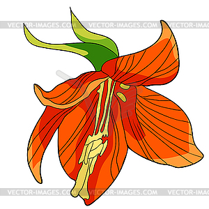 Fritillaria imperialis flower paradise tree - stock vector clipart
