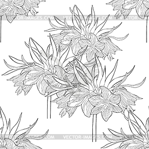 Раскраски бесшовные модели Fritillaria imperialis - клипарт в формате EPS