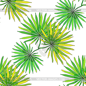 Бесшовные модели природных тропических пальмовых листьев. - изображение в векторном виде