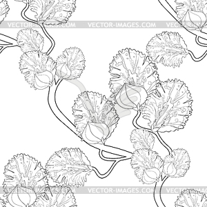 Seamless pattern willow coloring of flower spring. - vector clip art