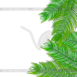 Естественные тропические пальмовые листья - рисунок в векторе