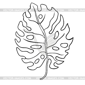 Coloring natural tropical palm leaves - vector image