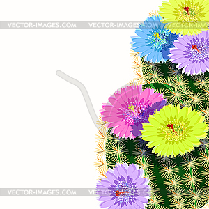 Mexican cactus flowering with thorns - vector image