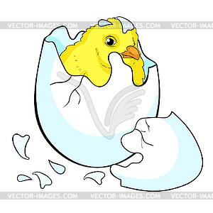 Is chicken baby egg hatchs - vector clip art