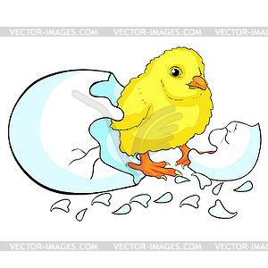 Is chicken baby egg hatchs - vector clip art