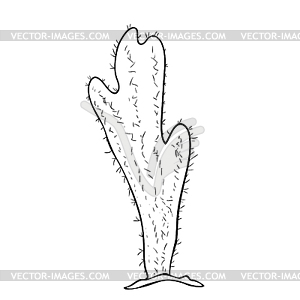 Mexican cactus with thorns - vector clip art