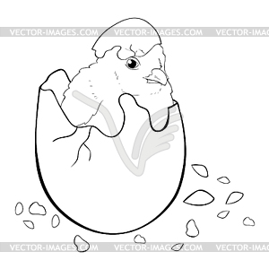 Coloring is chicken baby - vector image