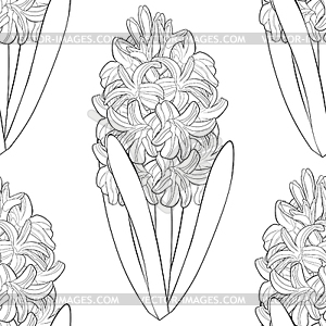 Coloring seamless pattern is hyacinth spring flower - vector clip art