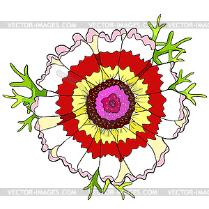 Flower Chrysanthemum keeled Masquerade with - vector image