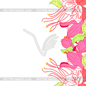 Фуксия цветок гибридная балерина - клипарт в векторном виде