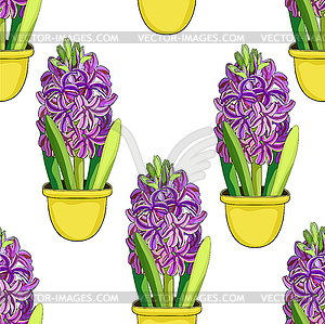 Seamless pattern is hyacinth spring flower in pot. - vector clipart