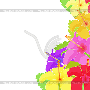 Card Hawaiian hibiscus flower - color vector clipart