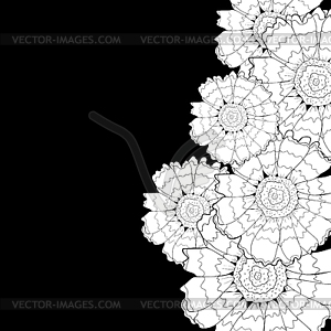 Flower Chrysanthemum keeled Masquerade - vector clipart