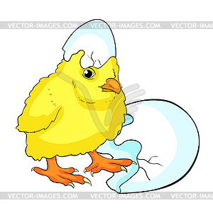 Is yellow chicken baby - vector clipart