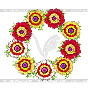 Flower Chrysanthemum keeled Masquerade with - vector image