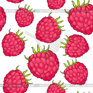 Seamless pattern raspberry berry natural ripe - vector clip art