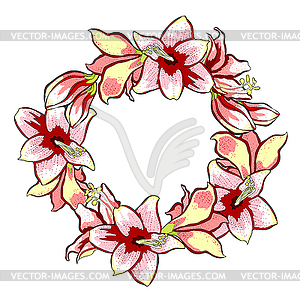 Is hippeastrum amaryllis flower - vector image