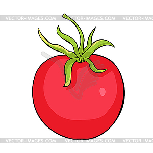 Tomato is mature vegetable - vector clipart