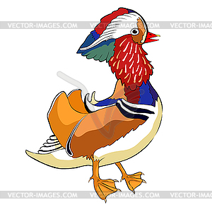 Chinese mandarin duck male bird - vector clipart