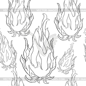 Seamless pattern Pitahaya Pitaya dragon fruit exoti - vector clipart