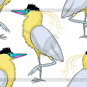 Seamless pattern South American kvakva heron bird. - vector clipart