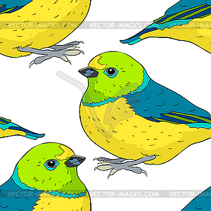 Бесшовный фон птица зеленый организм семьи Танажер - цветной векторный клипарт