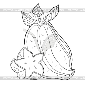 Exotic tropical fruit star carambola - vector EPS clipart