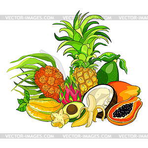 Exotic fruits pandan banana avocado coconut papaya - vector clipart