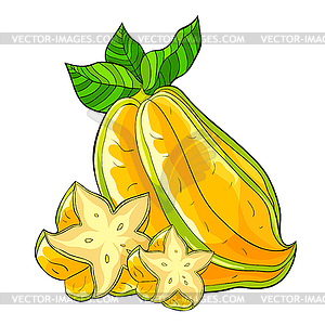 Exotic tropical fruit star carambola - vector image