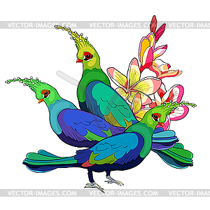 Turako Livingston Bananoed Tropical Parrot - vector image