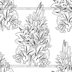 Seamless pattern is gladiolus flower natural. - vector image