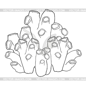 Blue tubular algae under water - white & black vector clipart