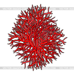 Exotic red coral in tropical sea - vector clip art