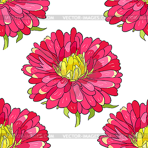 Seamless pattern Michaelmas daisy aster spring - vector clipart