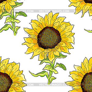 Seamless pattern sunflower flower with seeds. - vector clipart