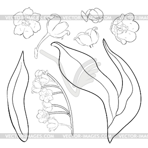 Цветок ландыша - изображение в формате EPS