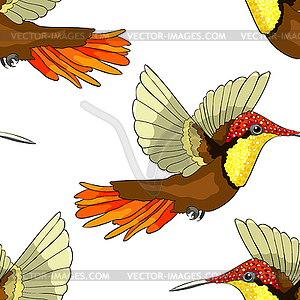 Seamless pattern Hummingbird Chrysolampis - vector EPS clipart